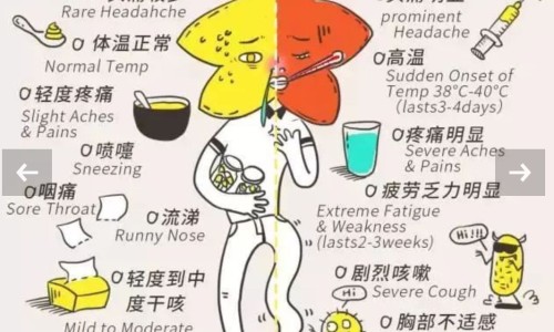 三九感冒颗粒15袋多少钱一盒-三九感冒颗粒多少钱一盒、三九感冒冲剂治什么感冒 -三九感冒颗粒15价格网